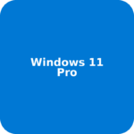 Windows 11 Pro